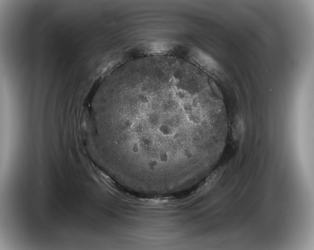 X0000086280366200704122051