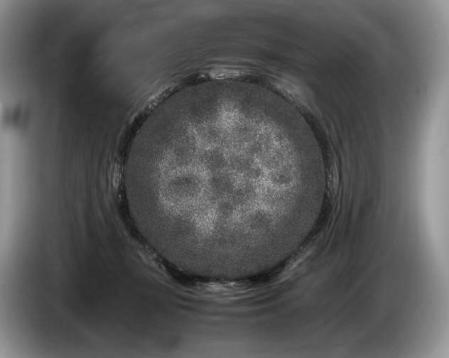 X0000086280367200704122051