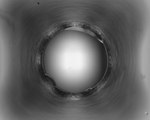 X0000086280368200704122051