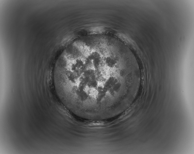 X0000086280369200704122051