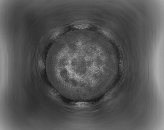 X0000086280371200704122051