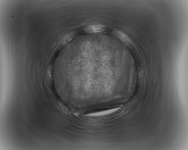 X0000086280373200704122051