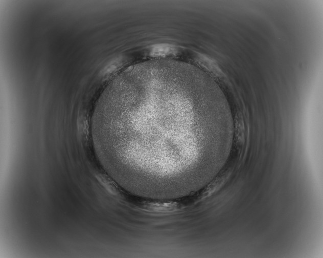 X0000086280375200704122051