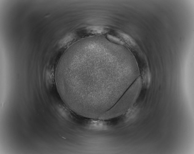 X0000086280376200704122051