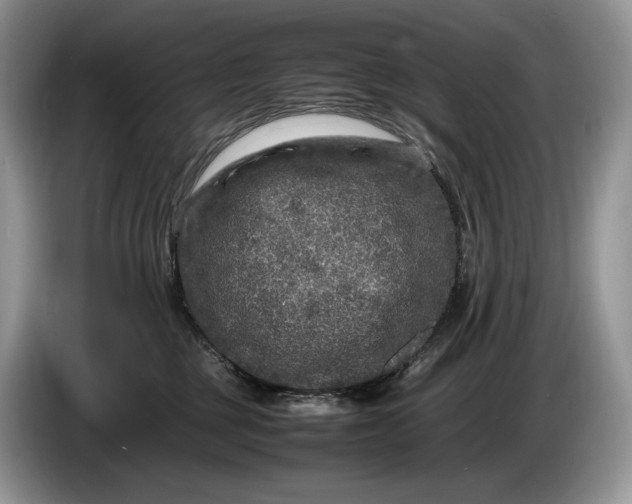 X0000086280377200704122051