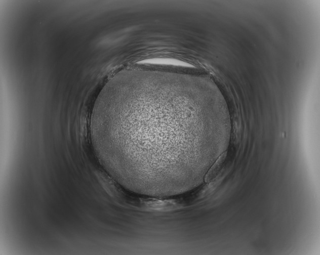 X0000086280379200704122051