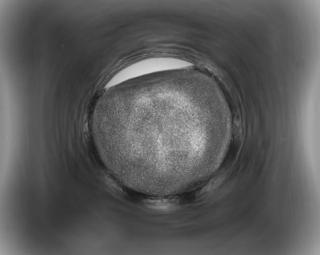 X0000086280381200704122051