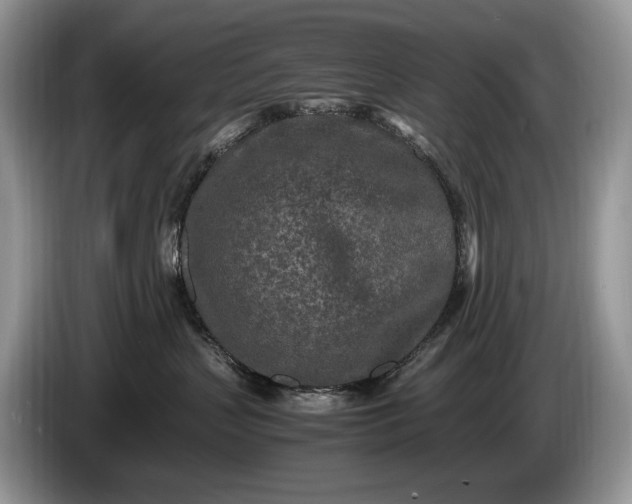 X0000086280383200704122052