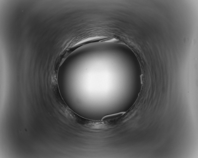 X0000086280384200704122052