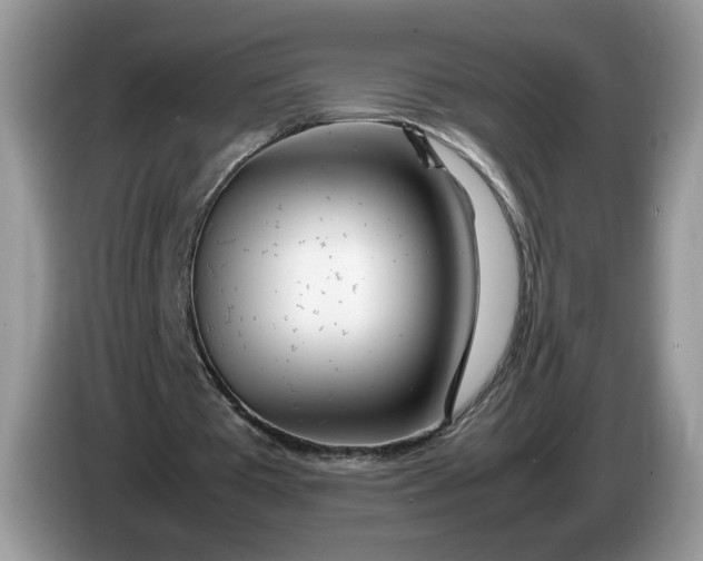 X0000086280385200704122051