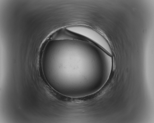 X0000086280387200704122051