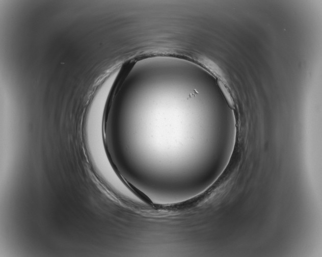 X0000086280389200704122051