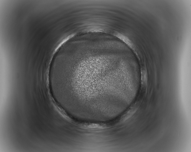 X0000086280390200704122051