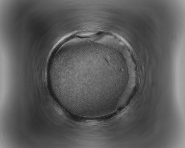 X0000086280391200704122051