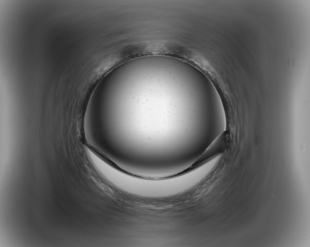 X0000086280393200704122051