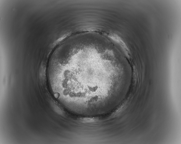 X0000086280394200704122051