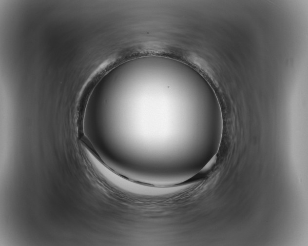 X0000086280395200704122051