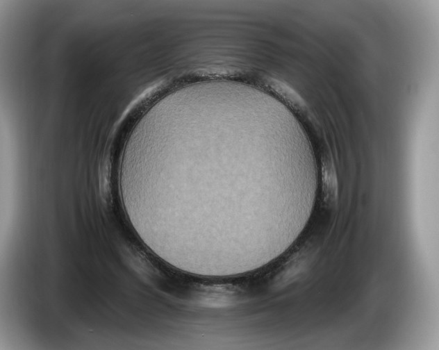 X0000086280396200704122051