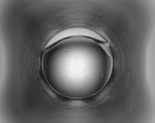 X0000086280397200704122051