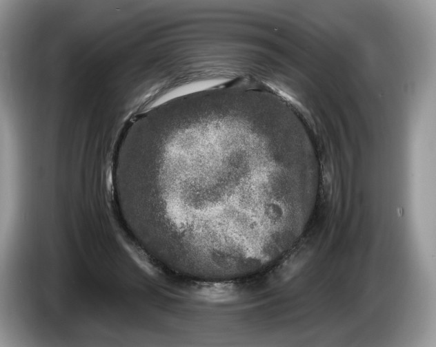 X0000086280398200704122051