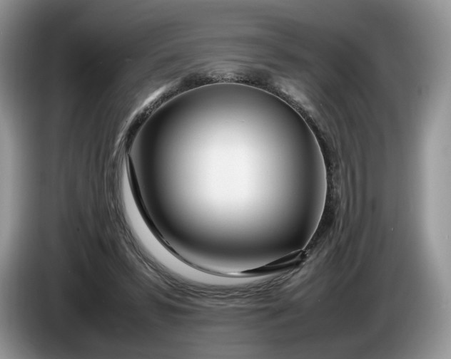 X0000086280399200704122051