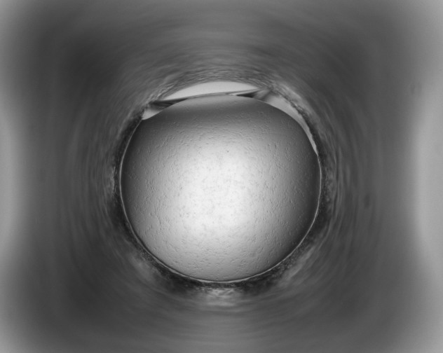 X0000086280401200704122051