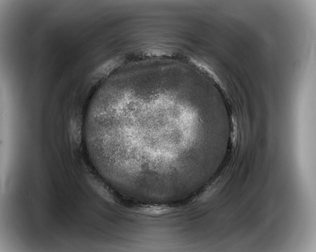 X0000086280402200704122051