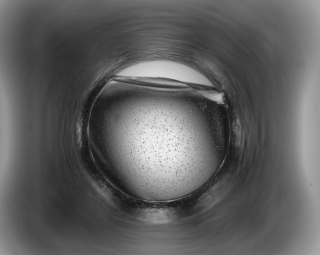 X0000086280404200704122051