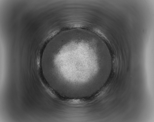 X0000086280406200704122051