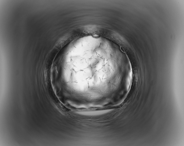 X0000086280408200704122051