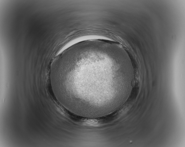 X0000086280409200704122051