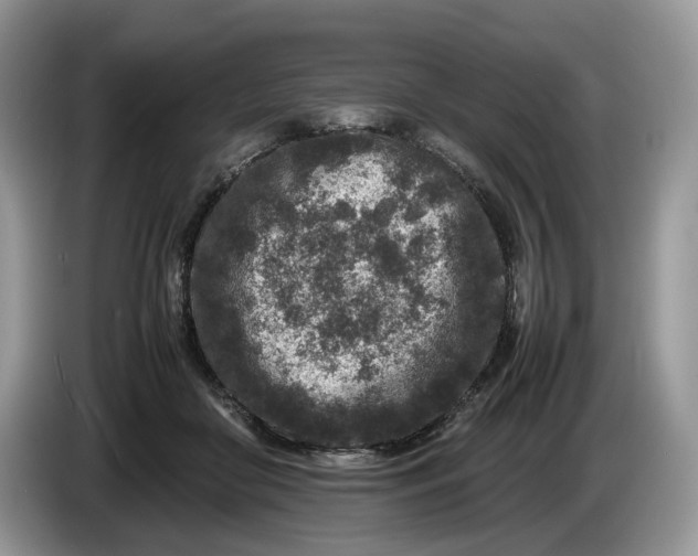 X0000086280410200704122051