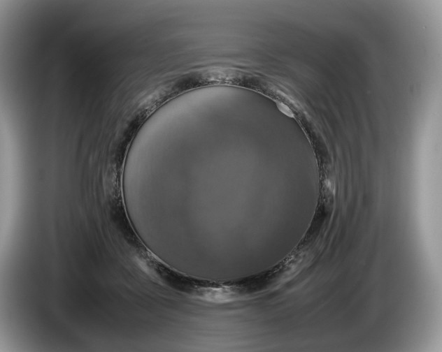 X0000086280411200704122051