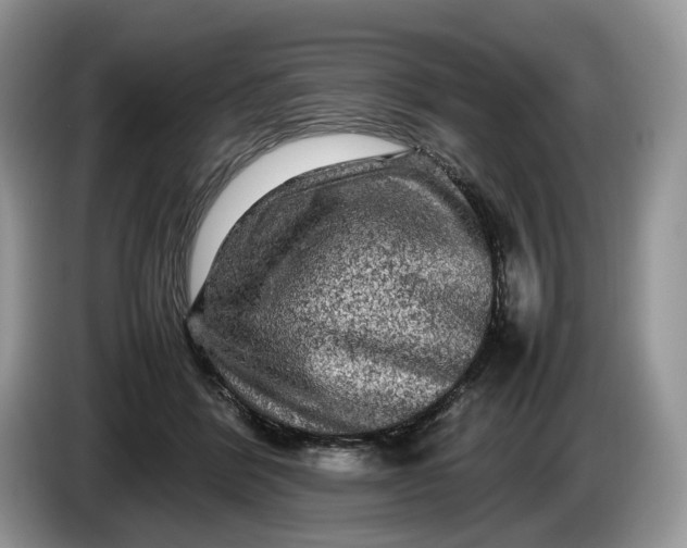 X0000086280412200704122051