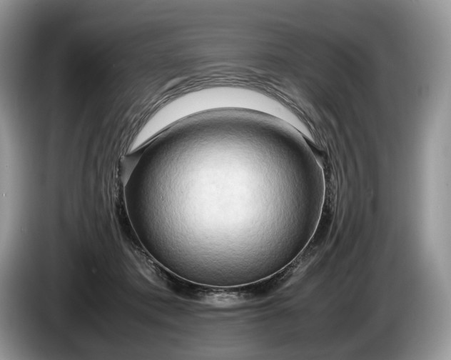 X0000086280413200704122051