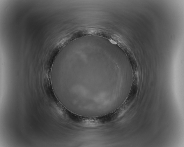 X0000086280415200704122051