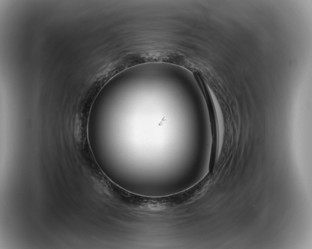 X0000086280416200704122051