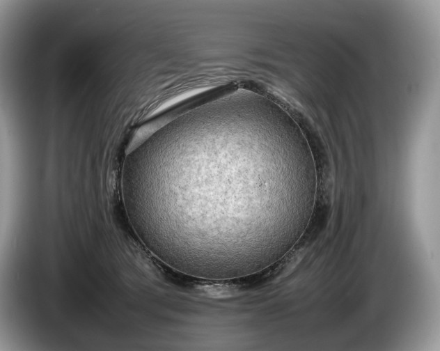 X0000086280417200704122051