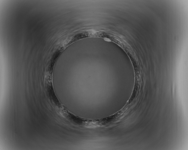 X0000086280419200704122051