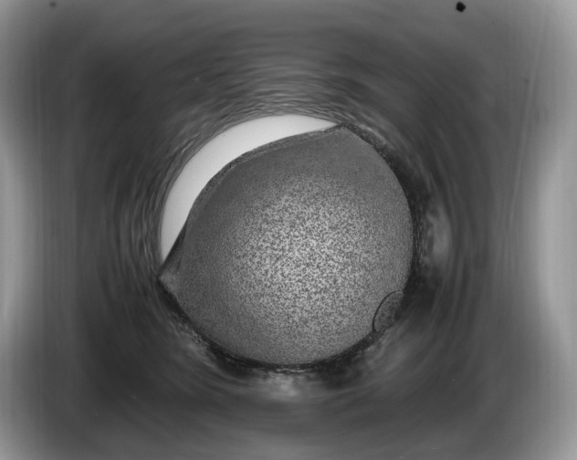 X0000086280420200704122051