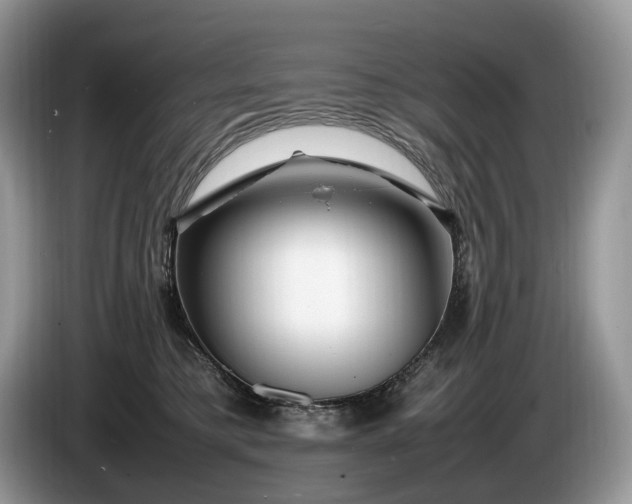 X0000086280421200704122051