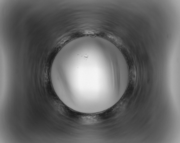 X0000086280422200704122051