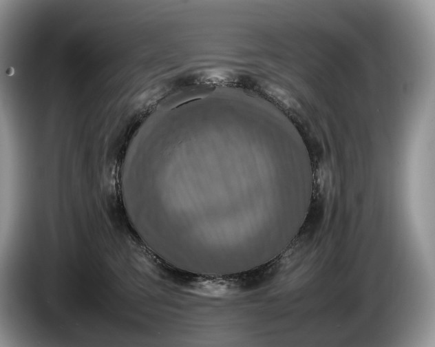 X0000086280423200704122051