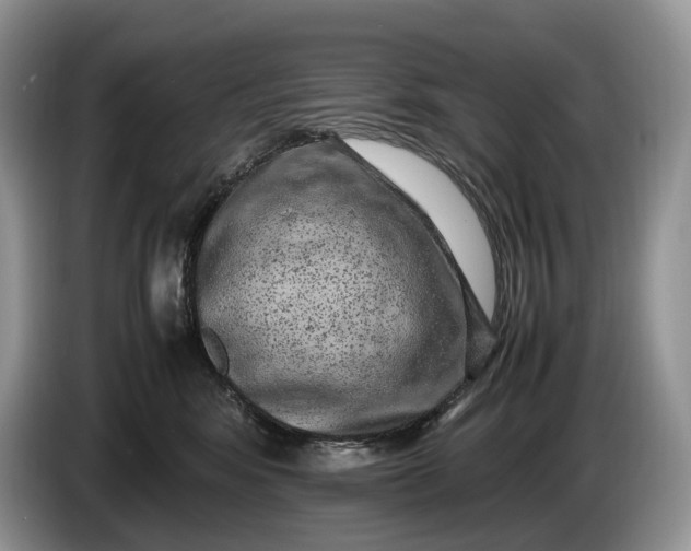 X0000086280424200704122051