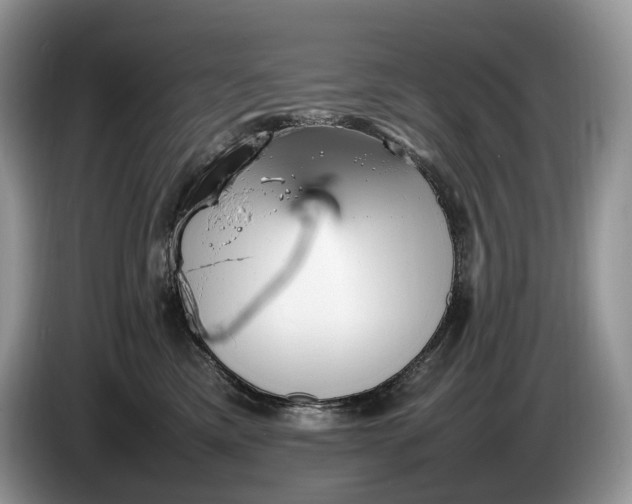 X0000086280425200704122050