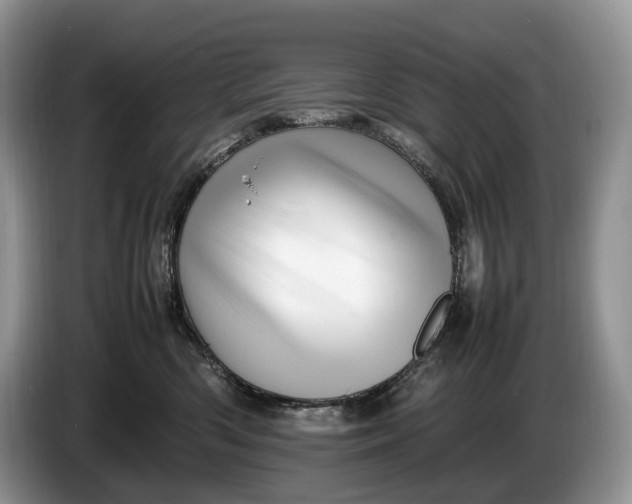 X0000086280426200704122050