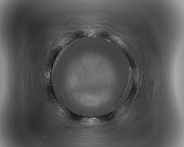 X0000086280427200704122050