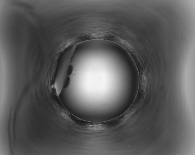 X0000086280428200704122050