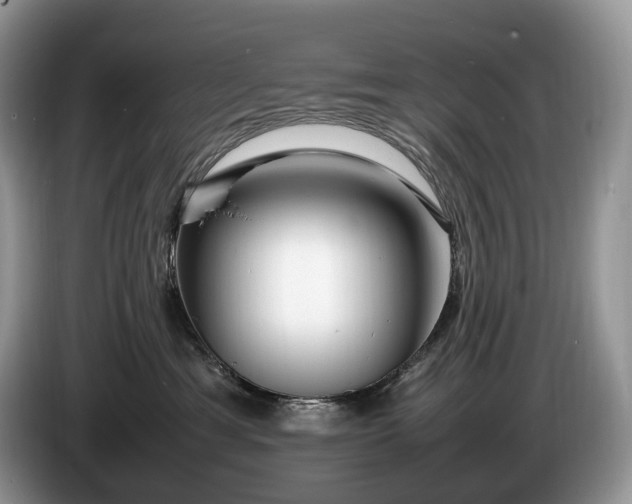 X0000086280429200704122050