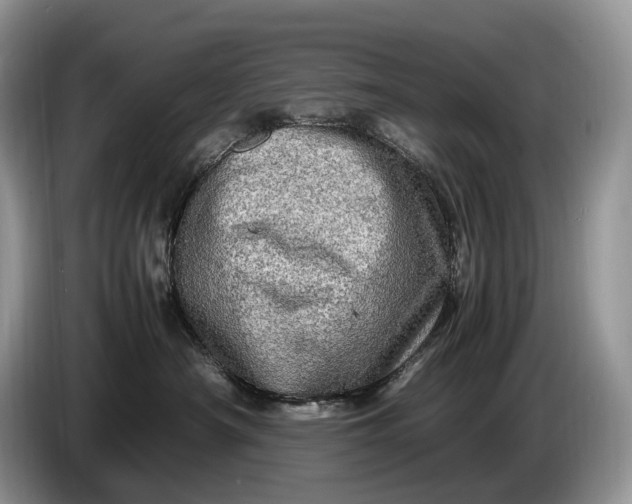 X0000086280430200704122050